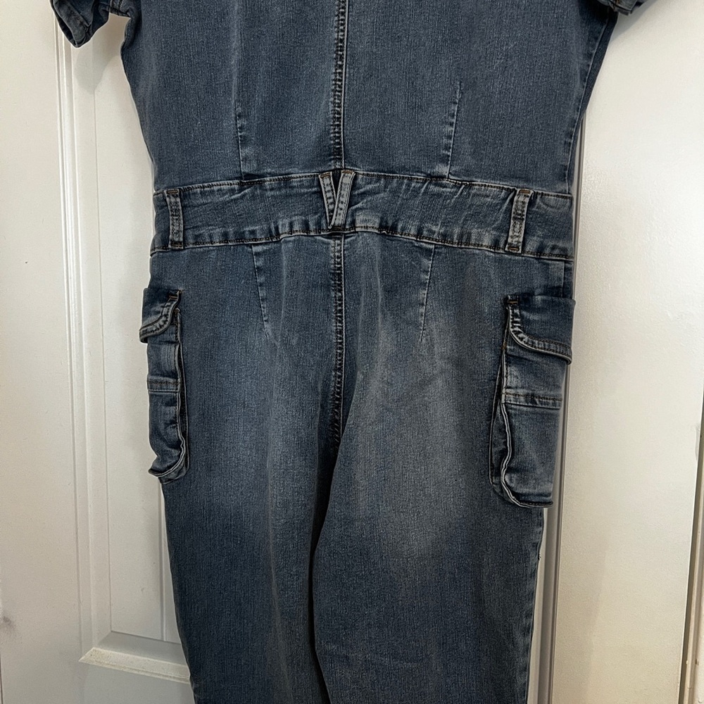 Denim Jumpsuit - Picture 4 of 4